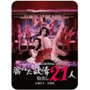 SJ-2482A 21人情欲迷图（高清数码修复版） 