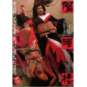 NF-00994 阳晖楼 