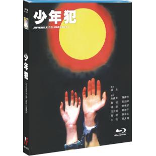 NF-02573 少年犯 