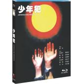 NF-02573 少年犯 