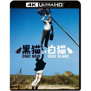 SJ-13100A 黑猫白猫（4K修复版）