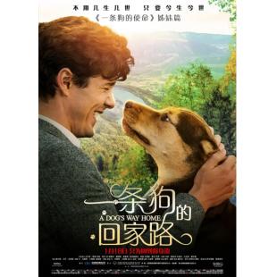 SJ-3872A 一条狗的回家路 