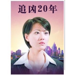 TW-2013	追凶二十年