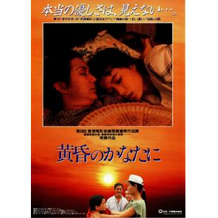 WBD9124	飞越黄昏/秋爱【叶童】(1989)	