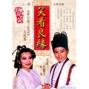 W7585 笑看良缘/状元花(1995)【赵雅芝/叶童】	