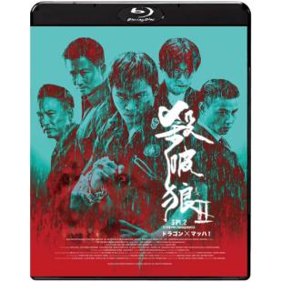 LJ-6905A 杀破狼1-3【独有原版及全中文导航双模菜单】