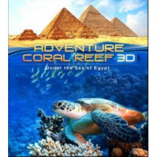 LBD-3D-029 埃及海底珊瑚礁探险之旅