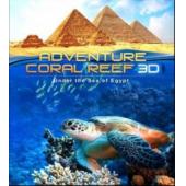 LBD-3D-029 埃及海底珊瑚礁探险之旅