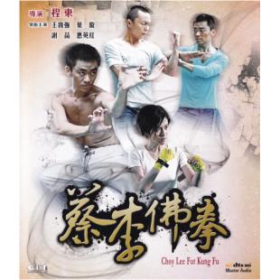4GBD25C8691 蔡李佛拳