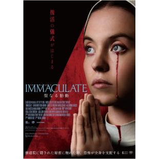 SJ-11825A 无暇修女 