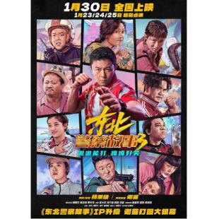 NF-02566 东北警察故事1-3