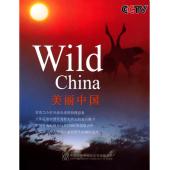 4GBD25D8468 美丽中国